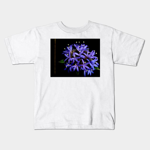 Blue Pincushion Flower Kids T-Shirt by GP1746